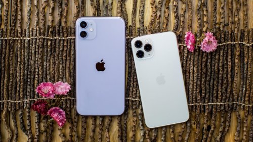 iPhone 11 vs. 11 Pro vs. 11 Pro Max: They're still worth it in 2021