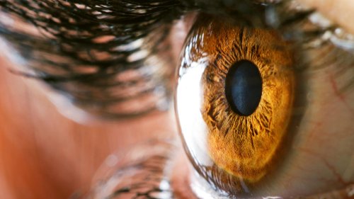 Transform Your Eye Health With These 6 Vitamins and Supplements