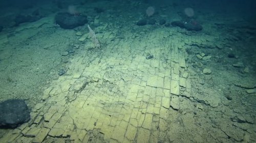 Scientists Spot Bizarre 'Yellow Brick Road' in Pacific Ocean