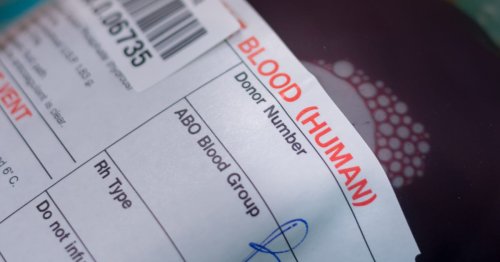 how-to-tell-blood-type-from-blood-test