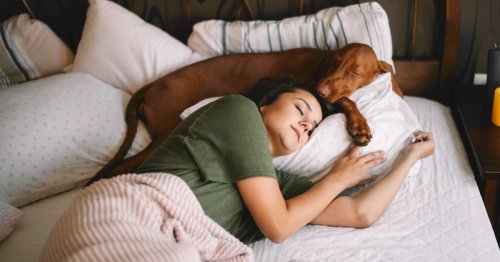 Should You Sleep With Your Pets? Here's What the Experts Say