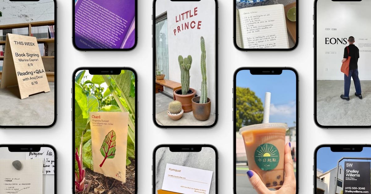 Apple Live Text takes on Google Lens, can read your photos