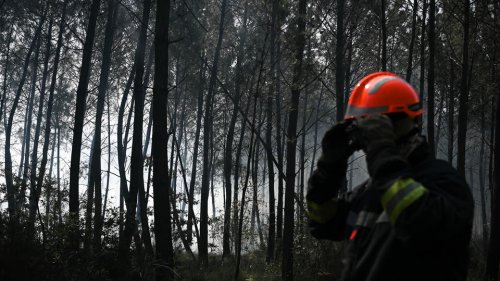 Incendie en Gironde : 7.400 hectares de forêt brûlés