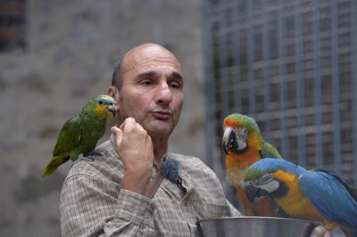 Cause animale : accusé de maltraitance, le dresseur star Pierre Cadéac va porter plainte contre Hugo Clément