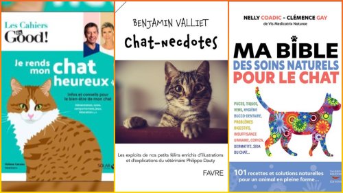 Journée mondiale des animaux : 3 livres à lire pour tout savoir sur les chats