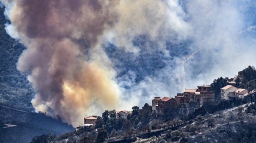 Algérie : des feux de forêt font au moins deux morts dans le nord du pays