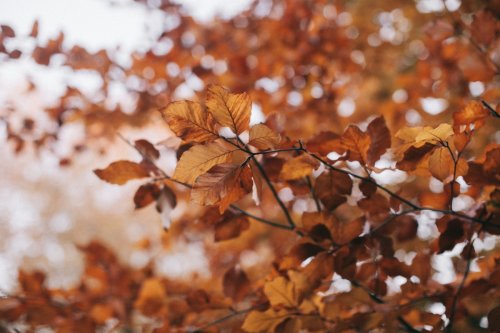 Pourquoi l’automne démarre-t-il cette année le 23 septembre, et pas le 21 ?