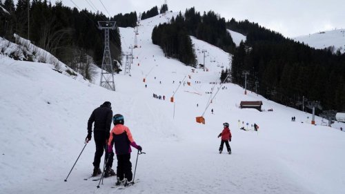 Savoie : un touriste belge attaqué par 2 chiens sur une piste de ski aux Contamines