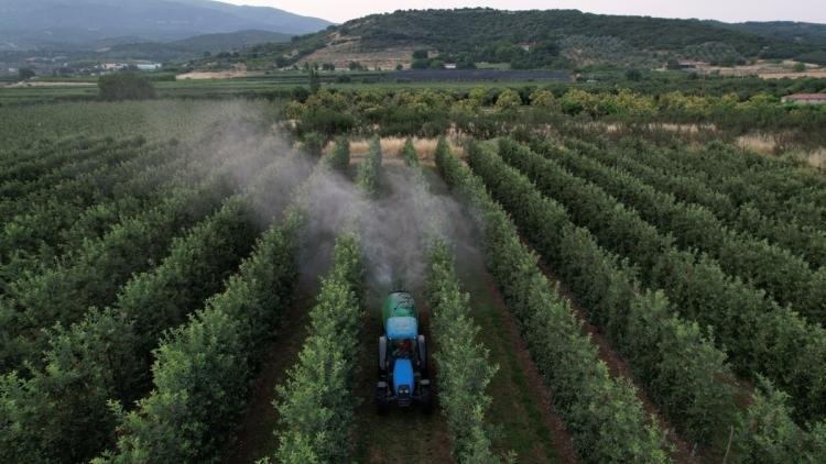 Voici les 5 pays qui utilisent le plus de pesticides en Europe