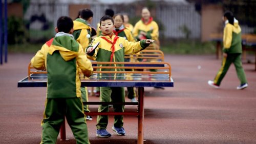 Chinese province drops restrictions on unmarried people having children in bid to halt plummeting birth rate