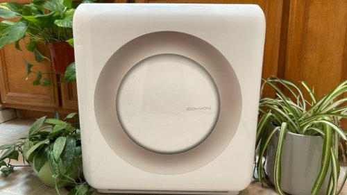 The best air purifiers to combat smoke, pollen and odors, according to experts