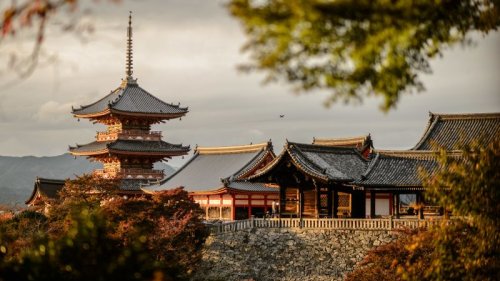 Visiting Kyoto? Insiders share tips