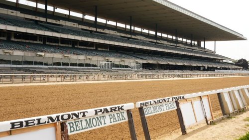 Horse dies at Belmont Park after sustaining injury during race ahead of next week’s Triple Crown finale