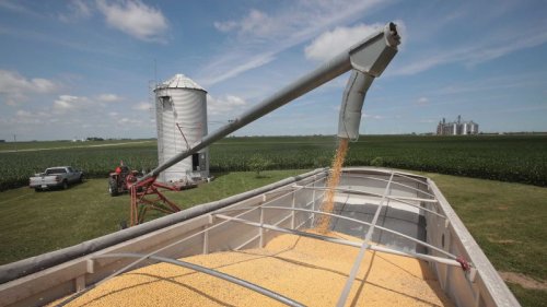 Soybean farmers are still paying for Trump’s trade war