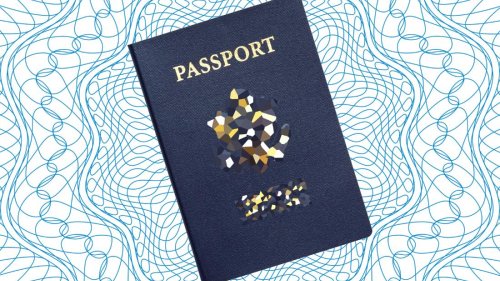 The shadowy world of camouflage passports