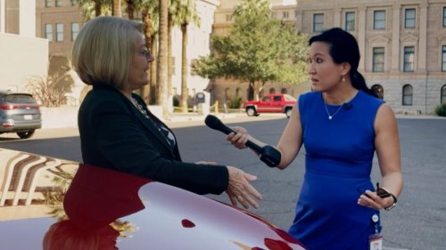 CNN confronts woman behind bogus Arizona audit