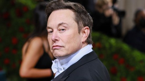 No, Elon Musk is not buying Manchester United