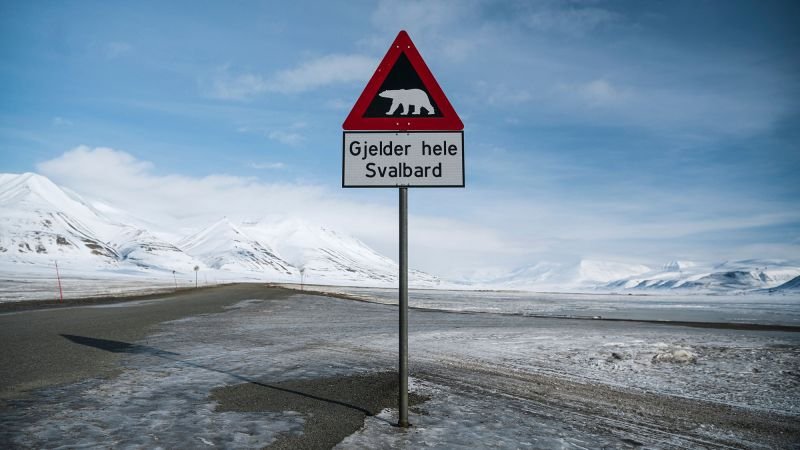 Person fined $5,000 for using foghorn to disturb sleeping polar bear