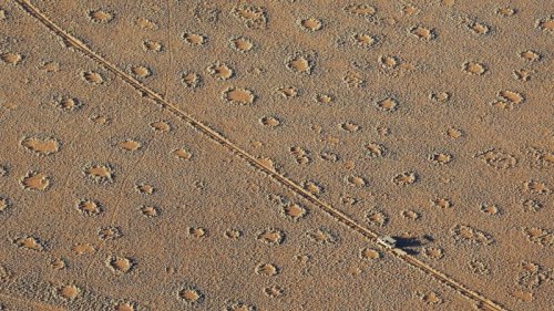 Mysterious ‘fairy circles’ identified at hundreds of sites worldwide, new study says