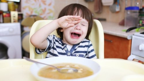 Is your toddler a fussy eater? It’s probably not your fault, say scientists