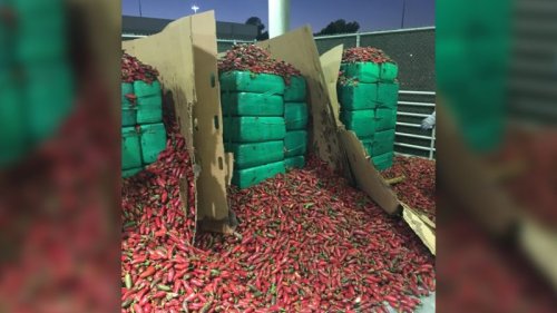 Nearly 4 tons of weed discovered inside a shipment of jalapeños