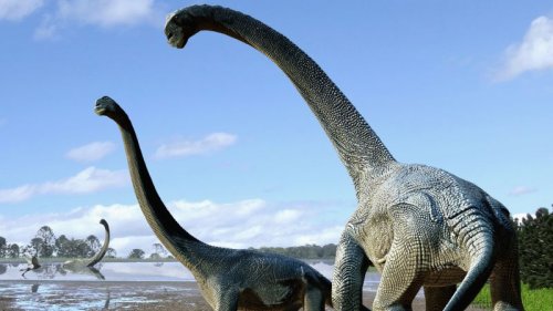 Meet Savannasaurus, a new huge dinosaur species
