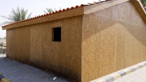 Recycling palm trees could cut methane emissions and create a green alternative to plywood