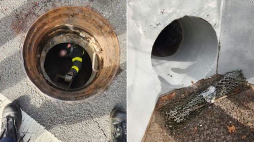 5 kids rescued from a Staten Island sewer system after they crawled into a tunnel and got lost