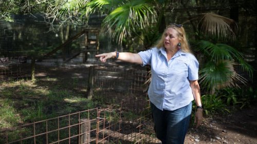 Carole Baskin’s Florida animal sanctuary, Big Cat Rescue, to close and move big cats to Arkansas, husband says