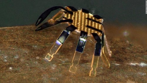 Northwestern engineers invent the world's smallest remote-controlled walking robots