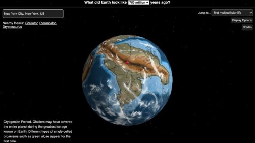 This map lets you see where your hometown was on the Earth millions of years ago