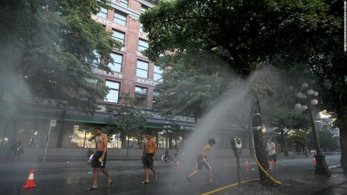 More Than 230 Deaths Reported In British Columbia Amid Historic Heat ...