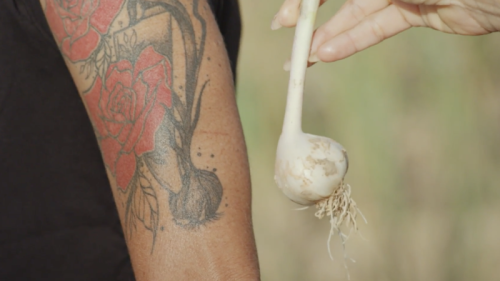 A unique variety of garlic is in danger of extinction. One woman is trying to keep it alive