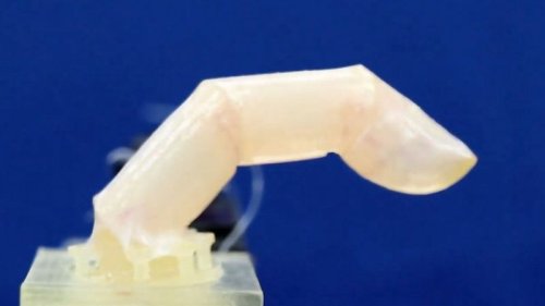 Robots can now be built with living humanlike skin