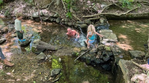 RFK Jr. posts photos swimming with his family in DC’s Rock Creek despite warnings of high bacteria
