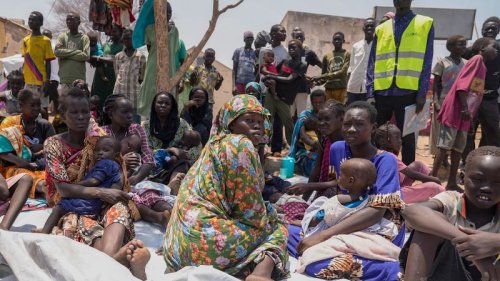 Nearly 1.4 million people displaced in Sudan since civil war erupted, UN report says