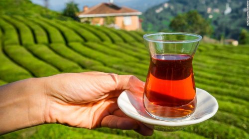 How new brews are stirring up Turkey's tea country