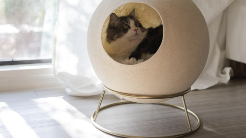 Get an exclusive discount on gorgeous modern cat furniture right now