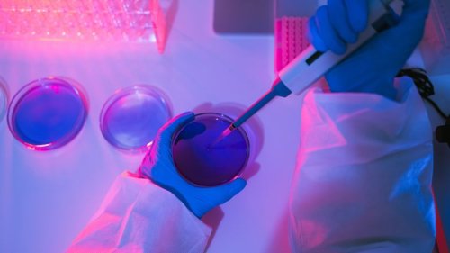 Beyond Ivy League, RFK Jr.’s NIH slashed science funding across states that backed Trump