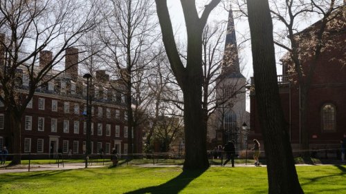 New York Times: Trump administration sent letter of demands to Harvard University in error