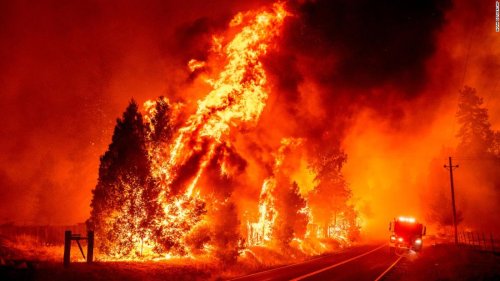 California s Fast moving Oak Fire Burns Nearly 12 000 Acres And Forces 
