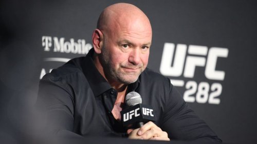 UFC president Dana White does not expect punishment for domestic violence incident