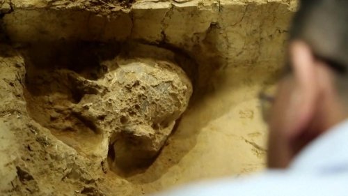 Historic discovery of skull in China reveals missing link of human evolution