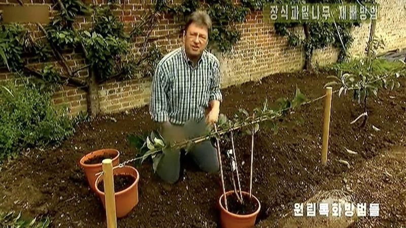 North Korean TV censors British gardening show host’s jeans