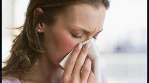 The ultimate cold and flu survival guide