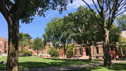 Deported Brown University doctor acknowledged she attended Hezbollah leader’s funeral on visit to Lebanon, source says