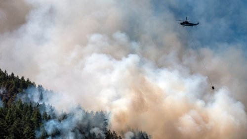 Smoke from Canada’s wildfires has reached as far as Norway