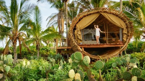 Is the treehouse the pinnacle of sustainable living?