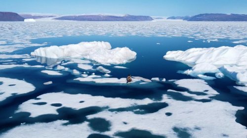 Billionaires are funding a massive treasure hunt in Greenland as ice vanishes
