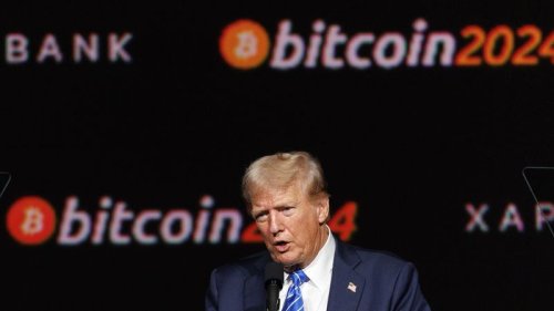 They helped Trump take back the White House. The rewards have come swiftly.